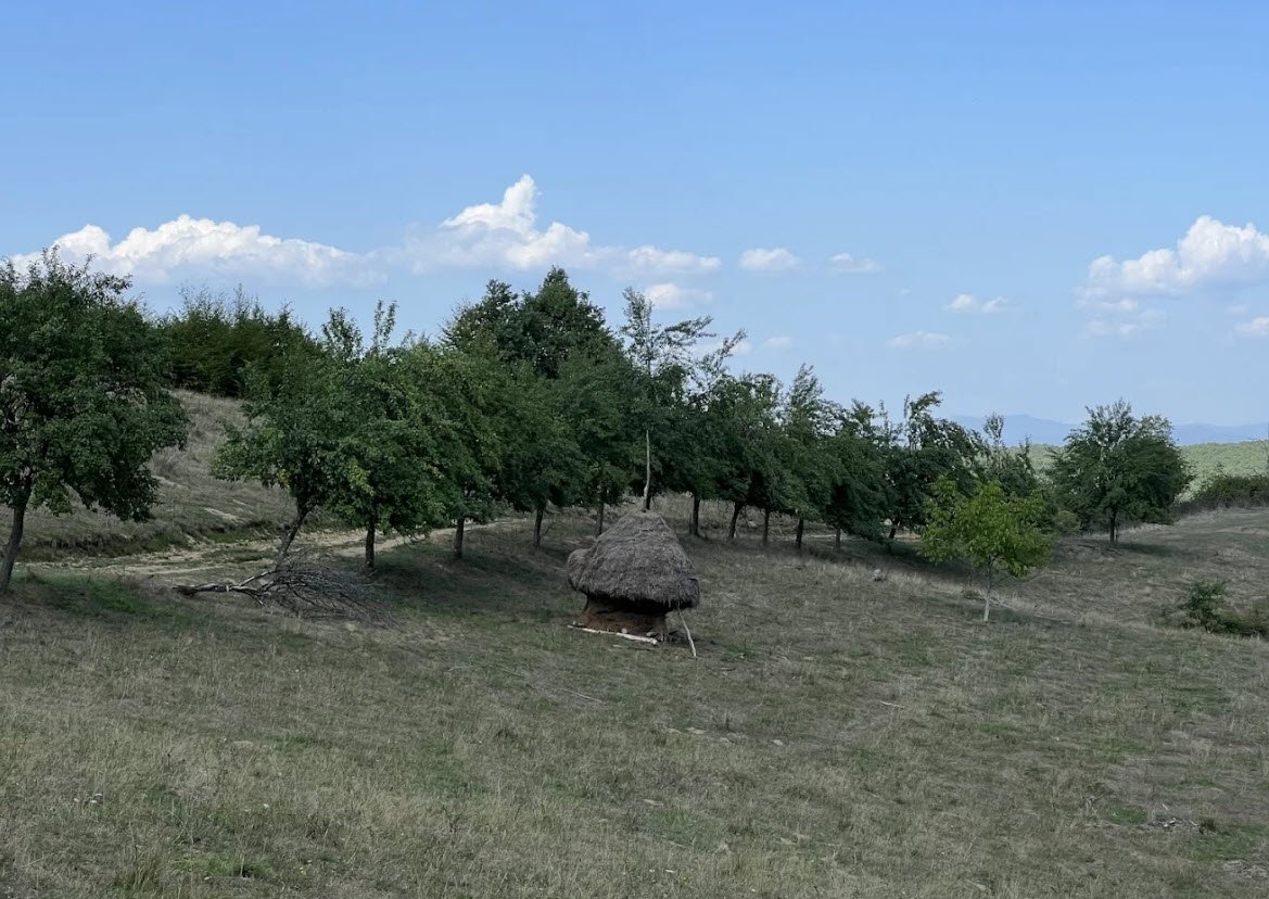 Cetatea Chioarului, Romania, Romania